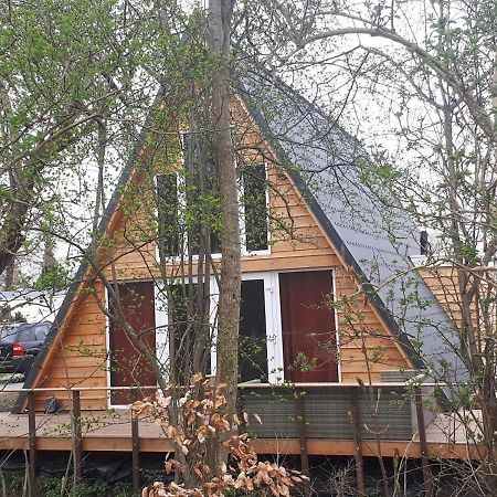 A-Frame Volledig Vrijstaande Woning Hotel Hensbroek Exterior foto